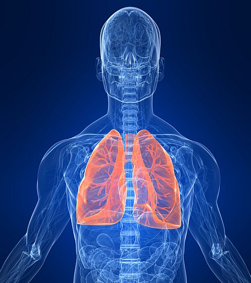 mesothelioma and asbestos claims